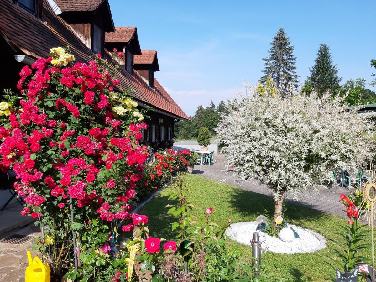Gaestehaus Zur Schoenen Aussicht Wies Dış mekan fotoğraf